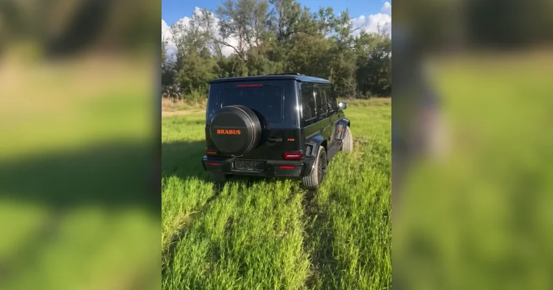 Неизвестные на дорогих авто снимали номера и давили пшеницу под Алматы ради видеоконтента
