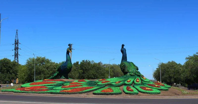 Павлины украсили дорожную развязку