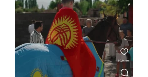Флаг Казахстана под седлом: как попытка блогерки подарить коня вылилась в международный скандал