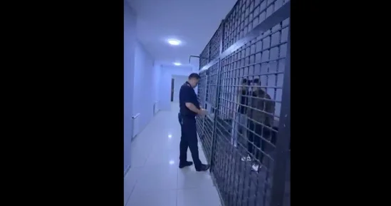 Двоих алматинцев арестовали за нецензурную брань в TikTok