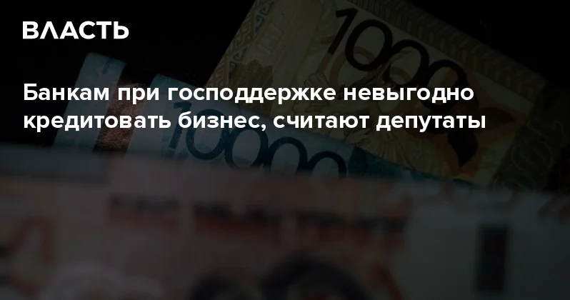 Банкам при господдержке невыгодно кредитовать бизнес, считают депутаты Аналитический интернет журнал Власть