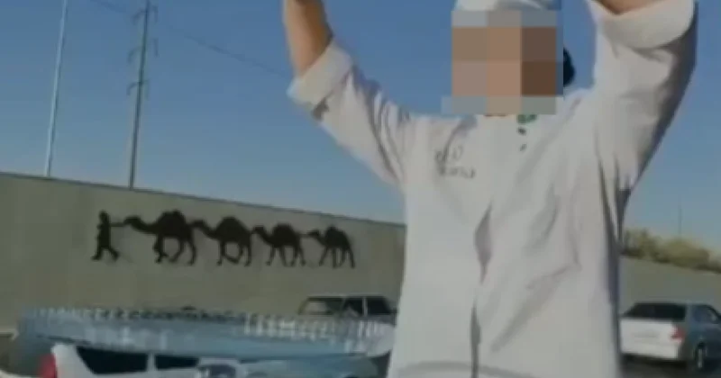 “Люкке шығып, торт жасады“ Түркістан облысында ерлі зайыптылар жазаланды