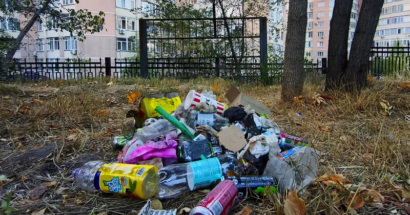“Қоқыс тастадың ба төле“. Неге бізде қоқыс тастайды және Қазақстан басқа елдерден не үйренсе болады?