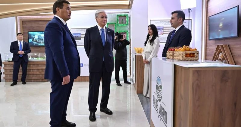 Президент Нұрлыбек Нәлібаевқа инвестициялық климатты жақсарту бағытында бірқатар тапсырма берді