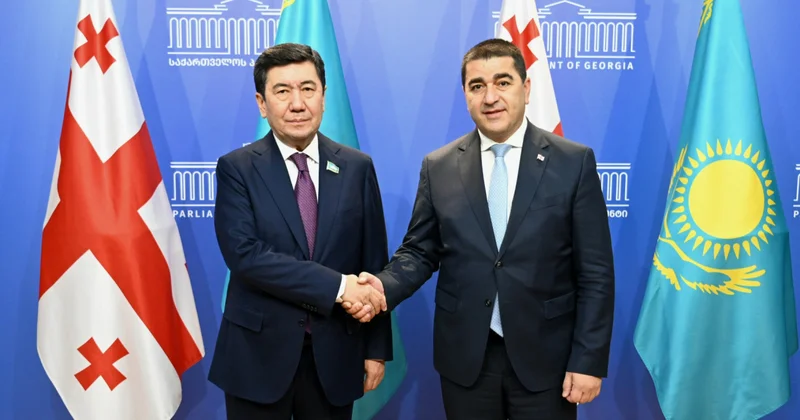 Қошанов Грузия депутаттарына Президент реформалары туралы айтып берді