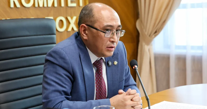 Шетелдік онлайн дүкендер ҚҚС бойынша шартты есепке қойылады Комитет