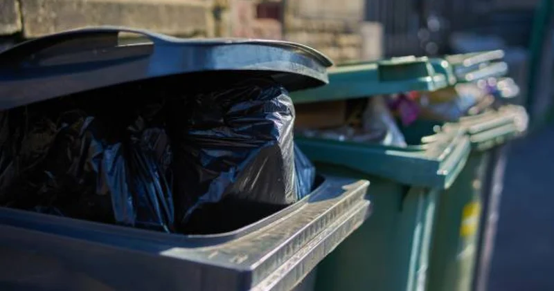 Алматыда ер адам анасын өлтіріп, мәйітіні қоқысқа тастап кеткен