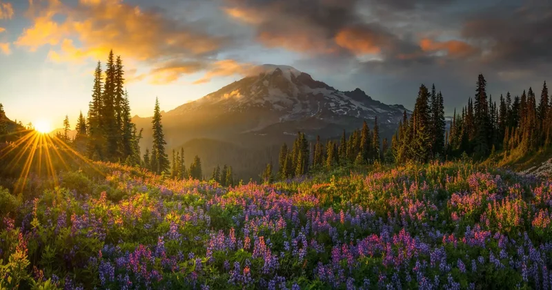 Мистикалық комета және айдаһар ертегісі: панорамалық үздік суреттер анықталды фото