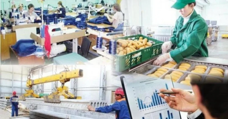 Елде 14,6 мыңнан астам шетел азаматы жұмыс істейді