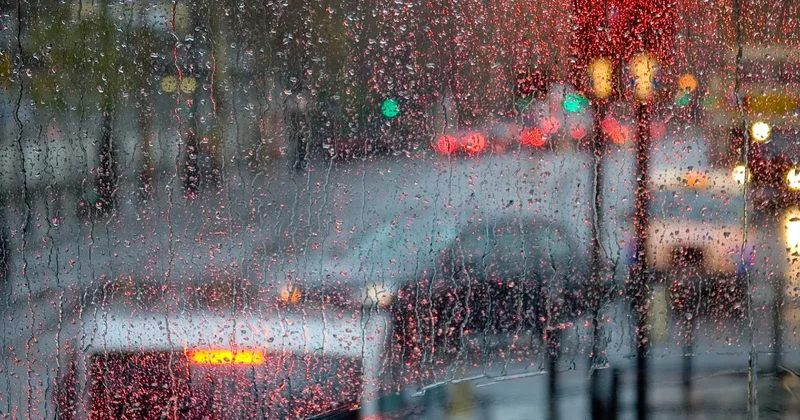 Прогноз погоды на 31 октября: дождь и усиление ветра ожидается на большей части страны