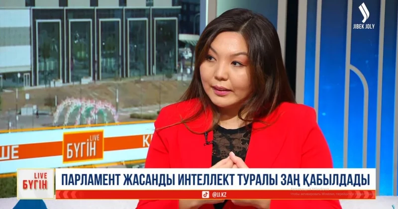 Цифрлық кодекс жыл соңына дейін бекітілуі керек министрлік маманы