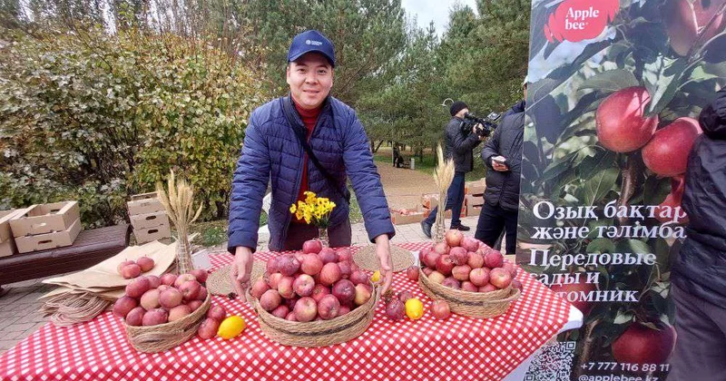 Вкус апорта в осеннем парке