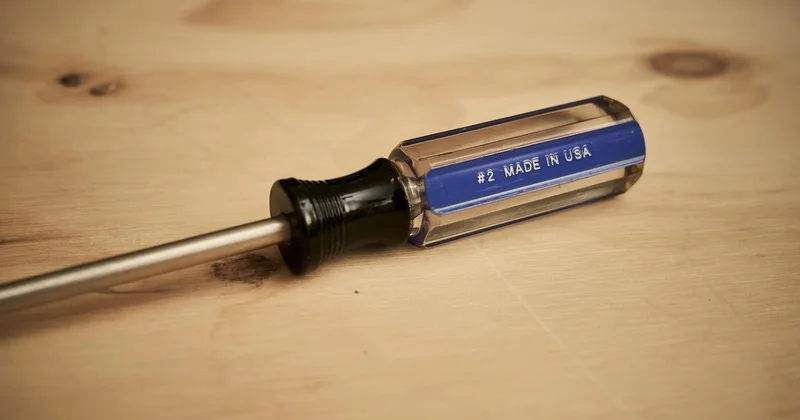 Няня накинулась с отверткой на дедушку и ребенка в США