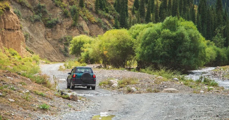 Не смог принять взвешенное решение : за авто гонялись у подножия гор на юге Казахстана