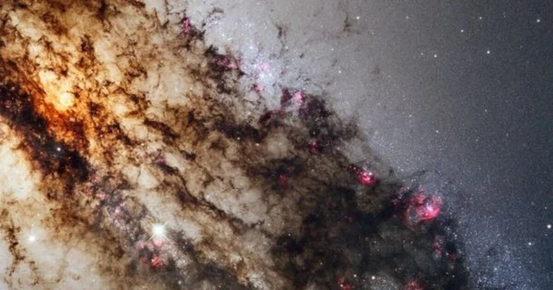 Гороскоп на 31 октября: день, когда энергия мистики помогает поставить точку