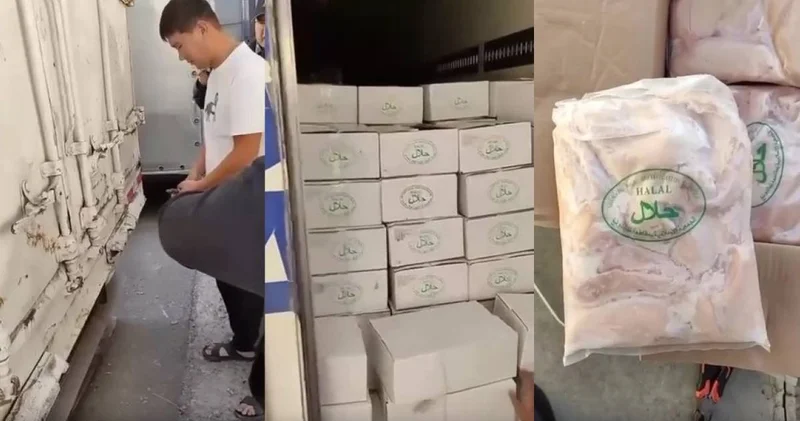 Қытайдың тыйым салынған тауық еттерін елге әкеп жатқан кімдер?