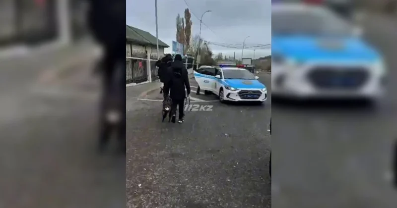 Уехал за очками и не вернулся: пропавшего подростка нашли в горах Алматы (видео)