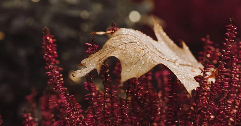 От туманов до мокрого снега: какая погода ждет Шымкент с 1 по 5 декабря