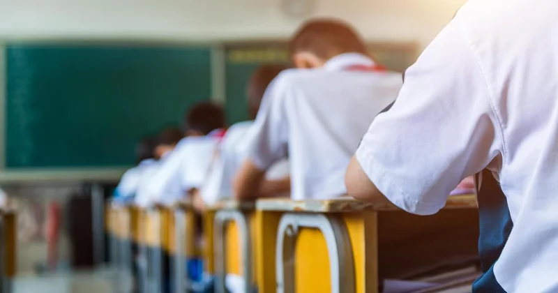 Школьники продолжат учиться на дистанционке из за ОРВИ и гриппа в одном из городов Казахстана