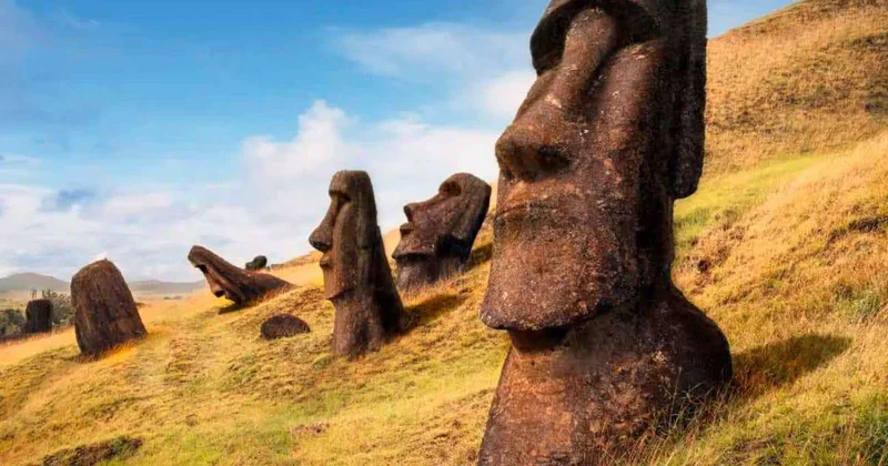 Каменные идолы острова Пасхи оказались результатом соперничества независимых общин