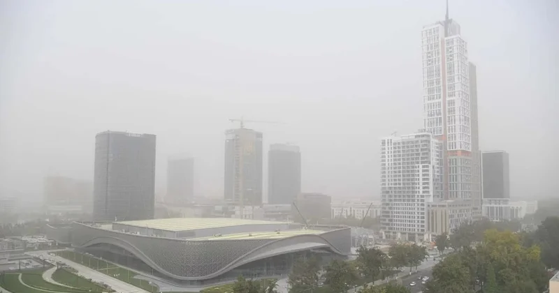 Ташкентте ауаны ластаған 100 ден астам нысанның жұмысы тоқтатылды