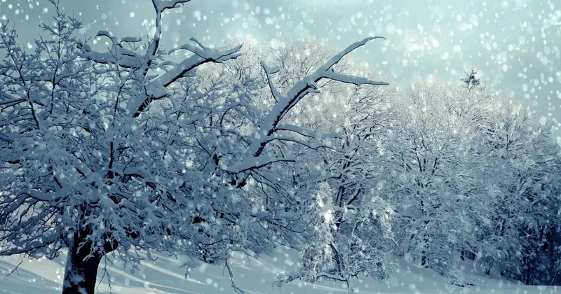 Месячная норма осадков за сутки выпала в Костанае