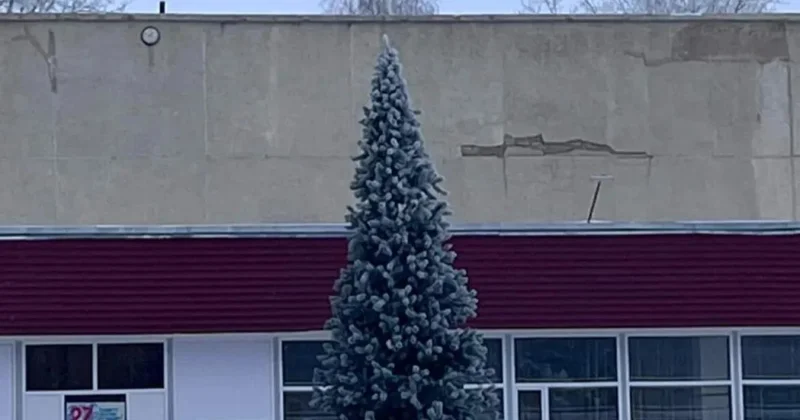 Отработали на 40 процентов : акимат Степногорска отчитал детей за новогодние выступления