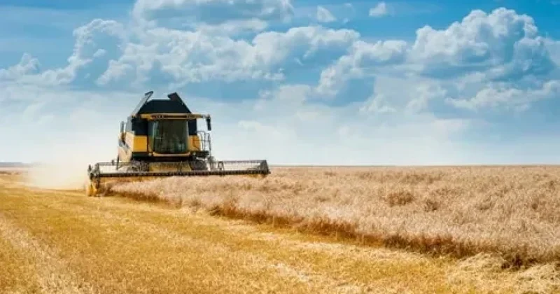 Ауыл шаруашылығына жеңілдікпен берілген несие көлемі 1 триллион теңгеден асты