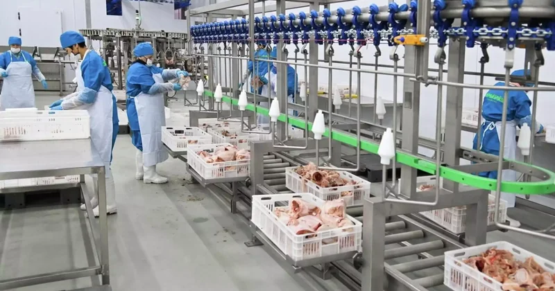 Қостанай облысында жылына 50 мың тонна ет өндіретін құс фабрикасы салынады