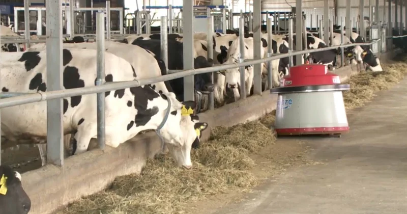 Агроөнеркәсіп өнімі 70 елге экспортталады