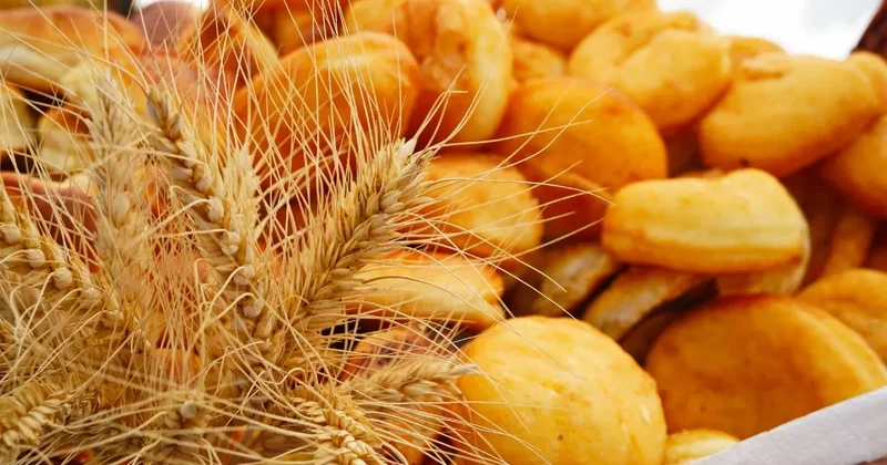 Если мы хотим устойчивый несырьевой экспорт, кооперацию нужно воспринимать как основу экспортной стратегии страны