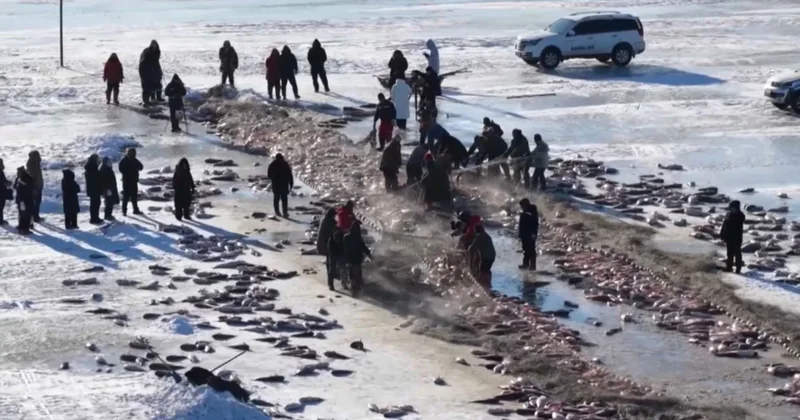 Қытайда балық аулау фестивалі басталды