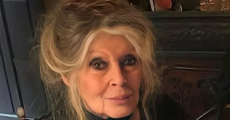 Правое крыло Франции призывает проводить кинозвезду Брижит Бардо с почестями национального уровня