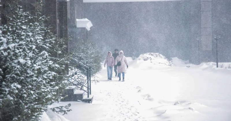 Гололед на дорогах: МВД обратилось к казахстанцам