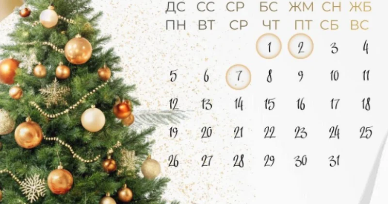 Как работают ЦОНы и спецЦОНы в Казахстане на Новый год