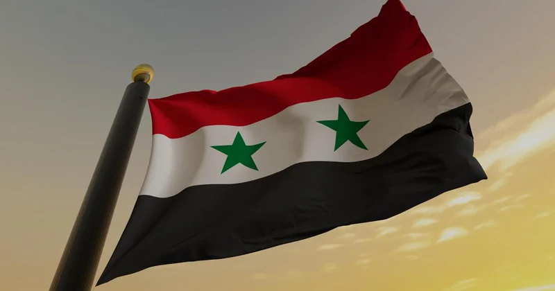 Оливки и розы появятся на денежных купюрах в Сирии вместо портретов Асадов