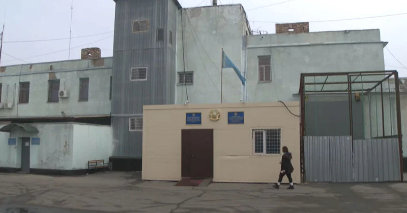 Еңбекке тарту әлеуметтік бейімдеу