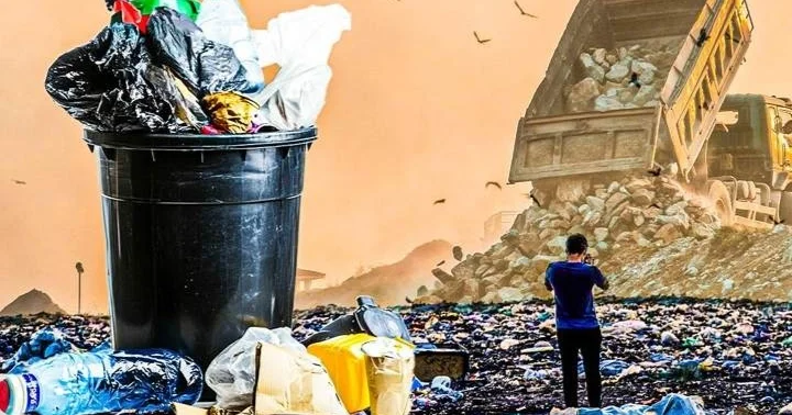 Қарағандылық экологтар стихиялық қоқыс орындарына бейнебақылау орнатуды талап етті