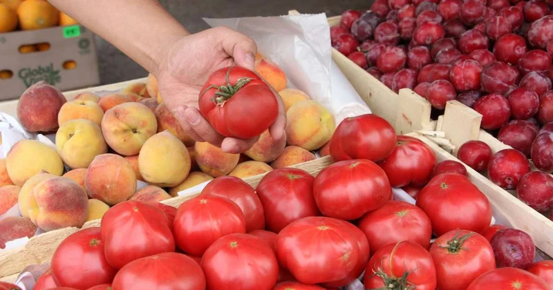 Ряд ввозных таможенных пошлин отменили в Казахстане