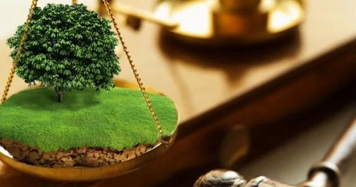 Алматы маңындағы ауыл шаруашылығы жерлерін бөлшектеу қашан тоқтайды?