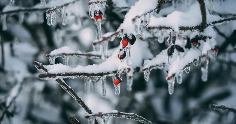 Прогноз погоды на 1 февраля: переменная облачность сохранится на большей части территории Казахстана
