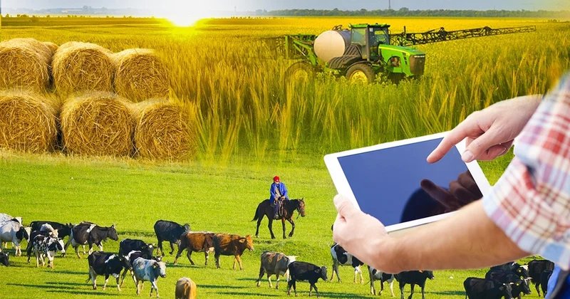 СҚО да былтыр фитосанитариялық бақылау аясында 6 млн теңге айыппұл салынды