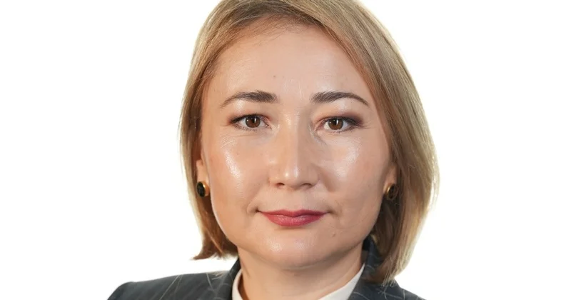 Жаңа Конституция жобасы Good Governance қағидаттарын институционалдық тұрғыда күшейтеді