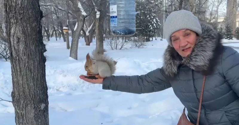 Петропавлда зейнеткер волонтерлер жұртқа үлгі көрсетті