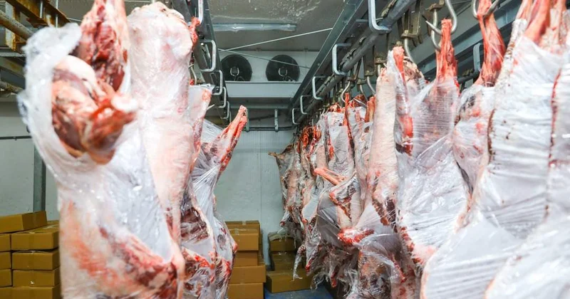 Батыс Қазақстанда бұқтырылған киік еті экспортқа шыға ма