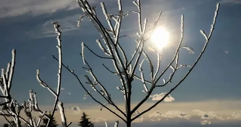 Тұман түсіп, боран соғады . Ақпан айының алғашқы күніне арналған ауа райы болжамы