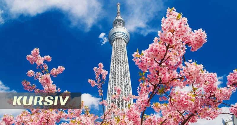 Tokyo Skytree elevator to resume operation after February malfunction