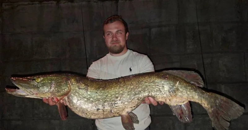 9 килограммовую щуку выловили в Москве реке