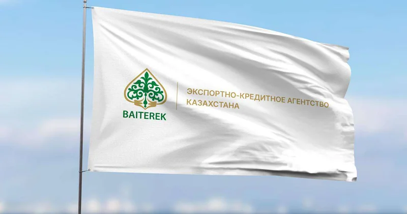 Экспорт в один клик: как цифровизация помогает отечественным товаропроизводителям расширять рынки сбыта