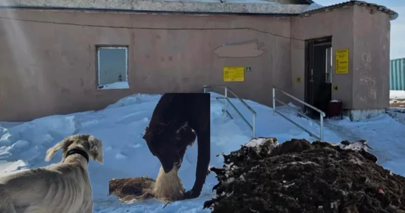 Как борьба с воняющим заводом может привести к уголовке и при чём тут родственные связи